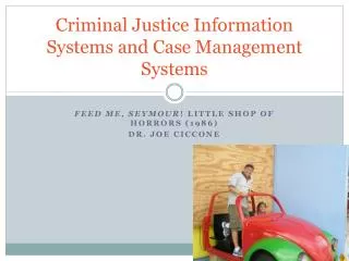 Criminal Justice Information Systems and Case Management Systems
