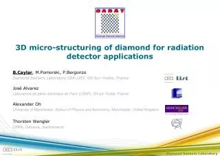 3D micro-structuring of diamond for radiation detector applications