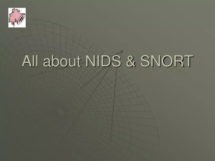 all about nids snort