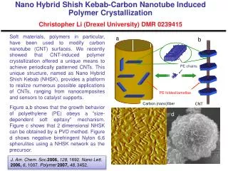 PE folded lamellae