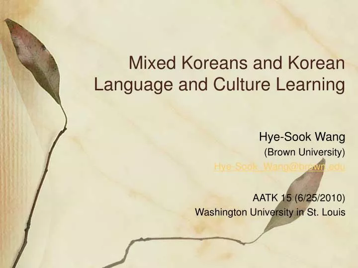 mixed koreans and korean language and culture learning