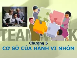 ch ng 5 c s c a h nh vi nh m