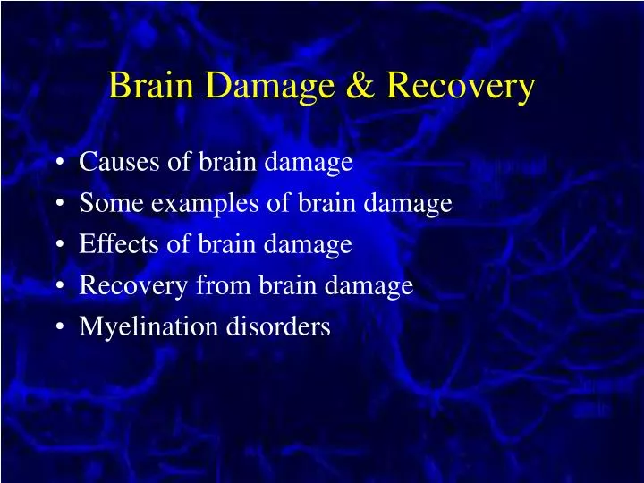 brain damage recovery