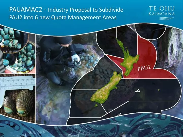 pauamac2 industry proposal to subdivide pau2 into 6 new quota management areas