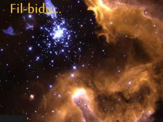 fil bidu