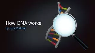 How DNA works