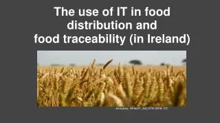 The use of IT in food distribution and food traceability (in Ireland)