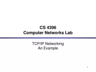 cs 4396 computer networks lab