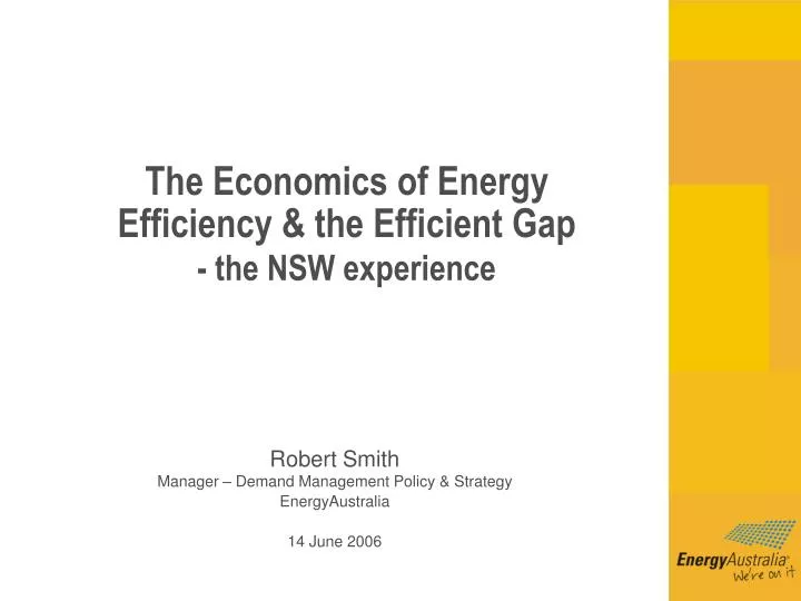 the economics of energy efficiency the efficient gap the nsw experience