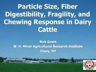 Particle Size, Fiber Digestibility, Fragility, and Chewing Response in Dairy Cattle