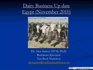 Dairy Business Up date Egypt (November 2010)