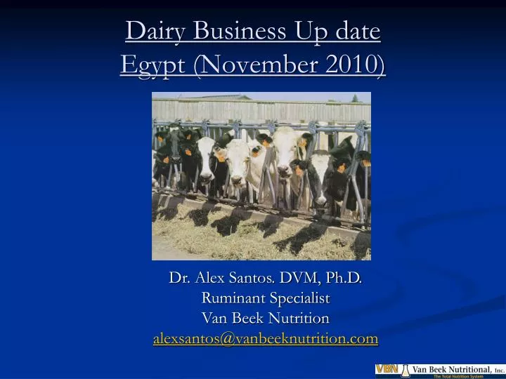 dairy business up date egypt november 2010