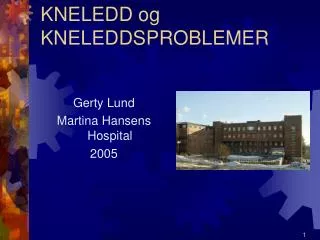 kneledd og kneleddsproblemer