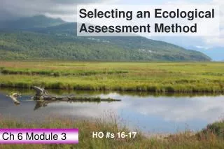 Selecting an Ecological Assessment Method