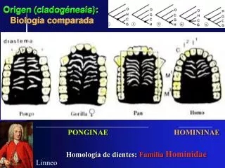 origen cladog nesis biolog a comparada