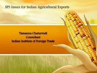 Tamanna Chaturvedi Consultant Indian Institute of Foreign Trade