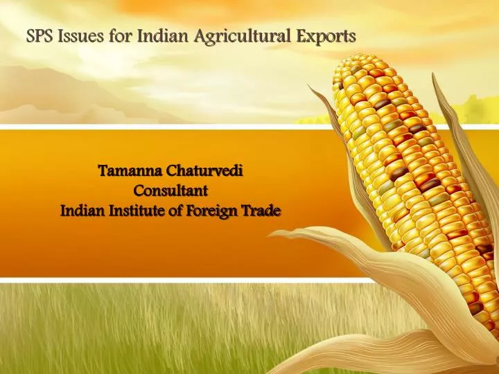 tamanna chaturvedi consultant indian institute of foreign trade