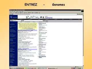 ENTREZ	-	Genomes