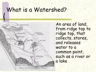 What is a Watershed?