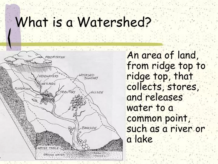 what is a watershed