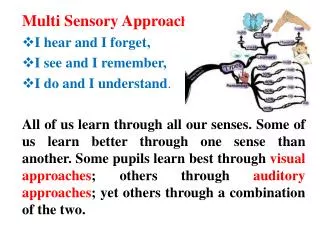 Multi Sensory Approac h I hear and I forget, I see and I remember, I do and I understand .
