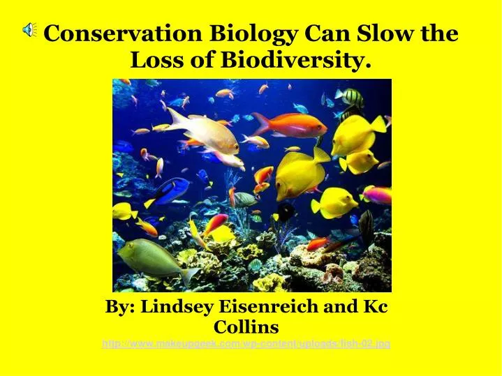 conservation biology can slow the loss of biodiversity