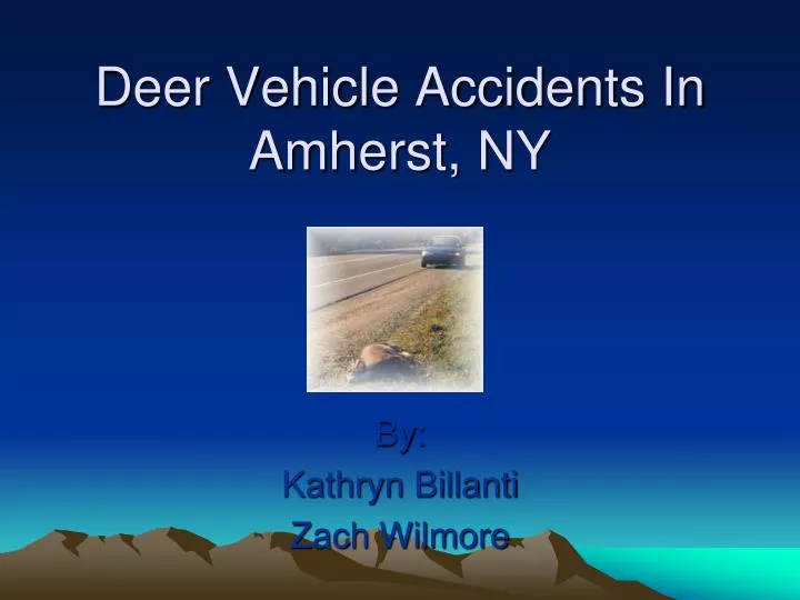 deer vehicle accidents in amherst ny