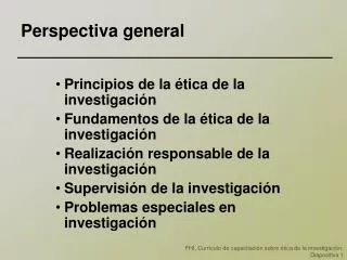 perspectiva general