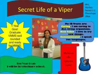 Secret Life of a Viper