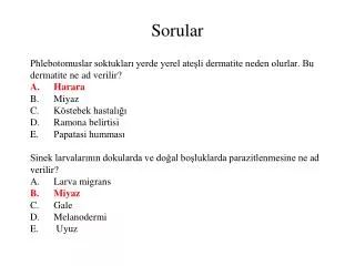 sorular