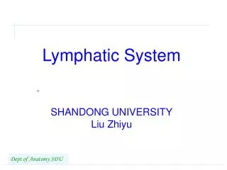 Lymphatic System SHANDONG UNIVERSITY Liu Zhiyu