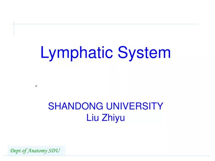 lymphatic system shandong university liu zhiyu