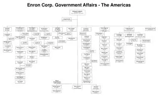 Richard S. Shapiro Managing Director Government Affairs - The Americas