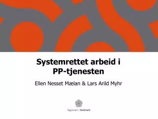 systemrettet arbeid i pp tjenesten