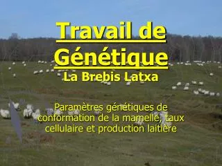 travail de g n tique