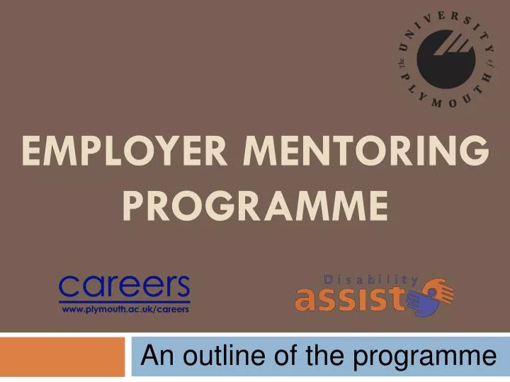 employer mentoring programme