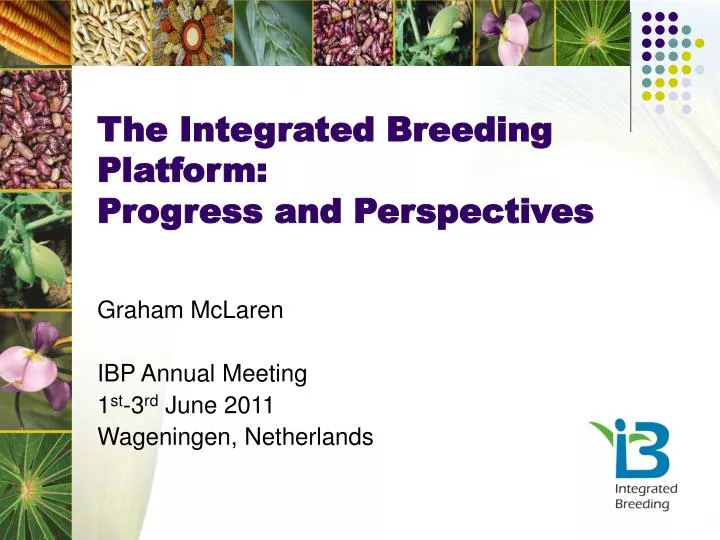 the integrated breeding platform progress and perspectives
