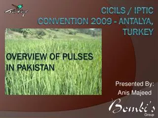 CICILS / IPTIC Convention 2009 - Antalya, Turkey