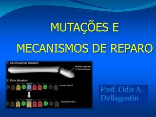 prof odir a dellagostin