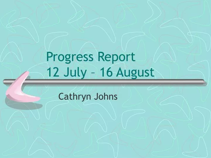 progress report 12 july 16 august