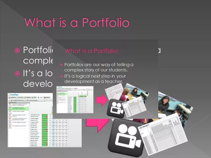 what is a portfolio