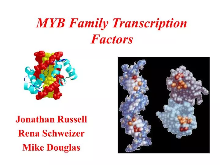 myb family transcription factors