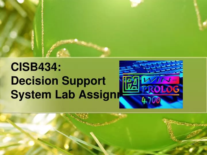 cisb434 decision support system lab assignment