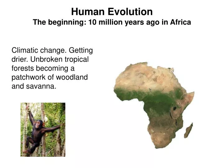 human evolution the beginning 10 million years ago in africa