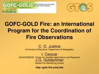 GOFC-GOLD Fire: an International Program for the Coordination of Fire Observations