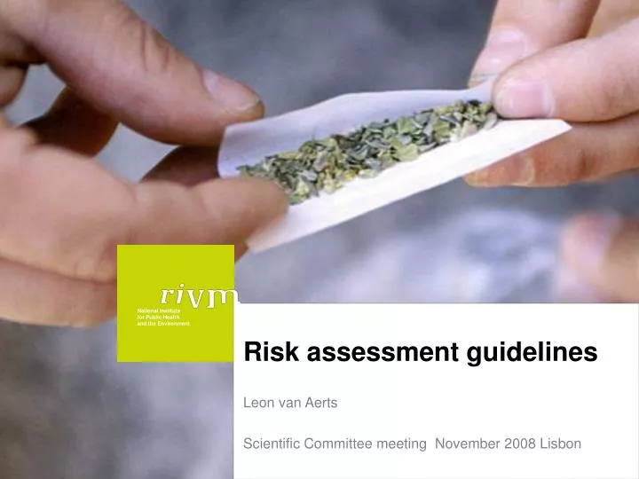 risk assessment guidelines