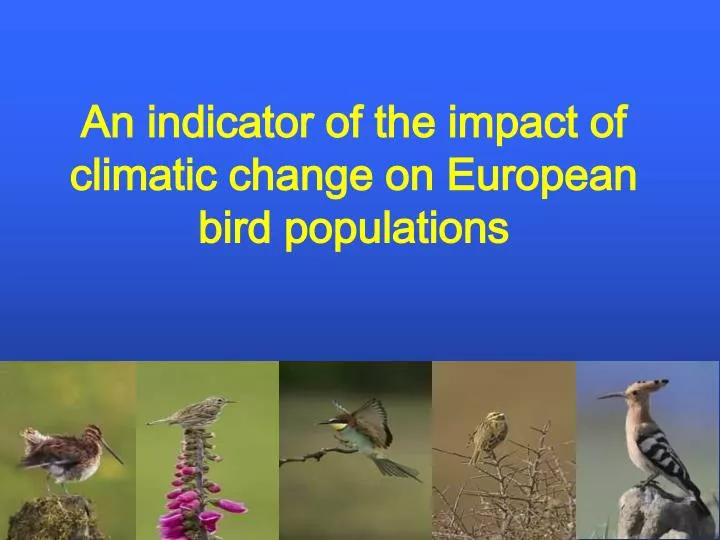 an indicator of the impact of climatic change on european bird populations