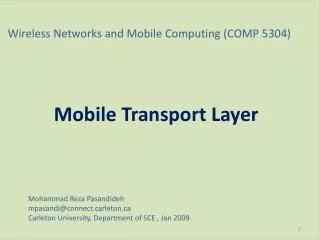Wireless Networks and Mobile Computing (COMP 5304)