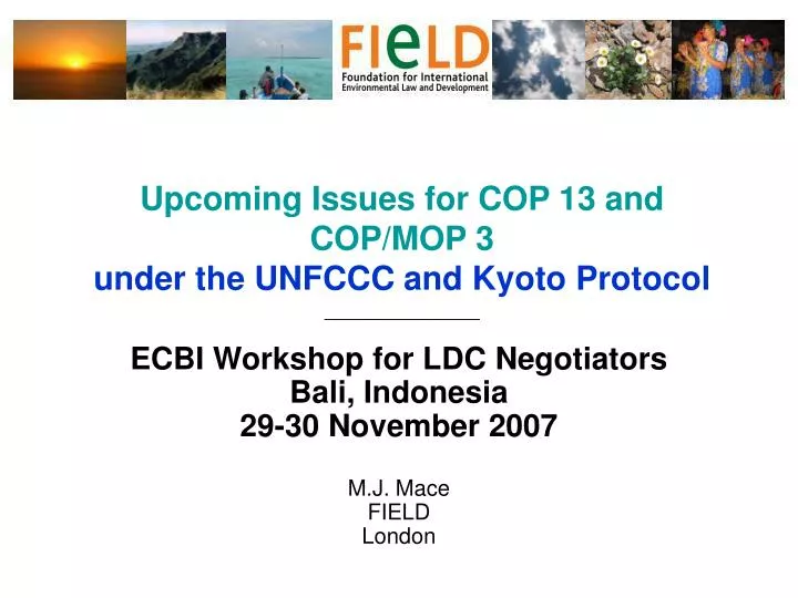upcoming issues for cop 13 and cop mop 3 under the unfccc and kyoto protocol