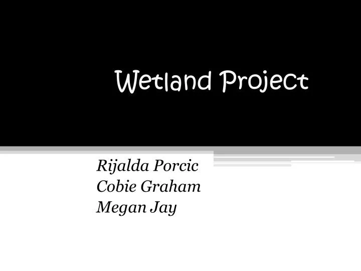 wetland project